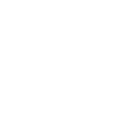The Conscious Path